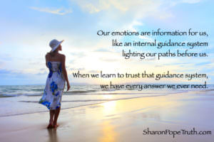 emotions as our guidance system